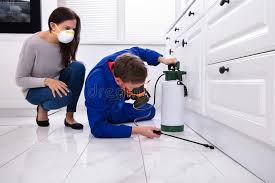 Best Residential Pest Control  in Shavano Park, TX